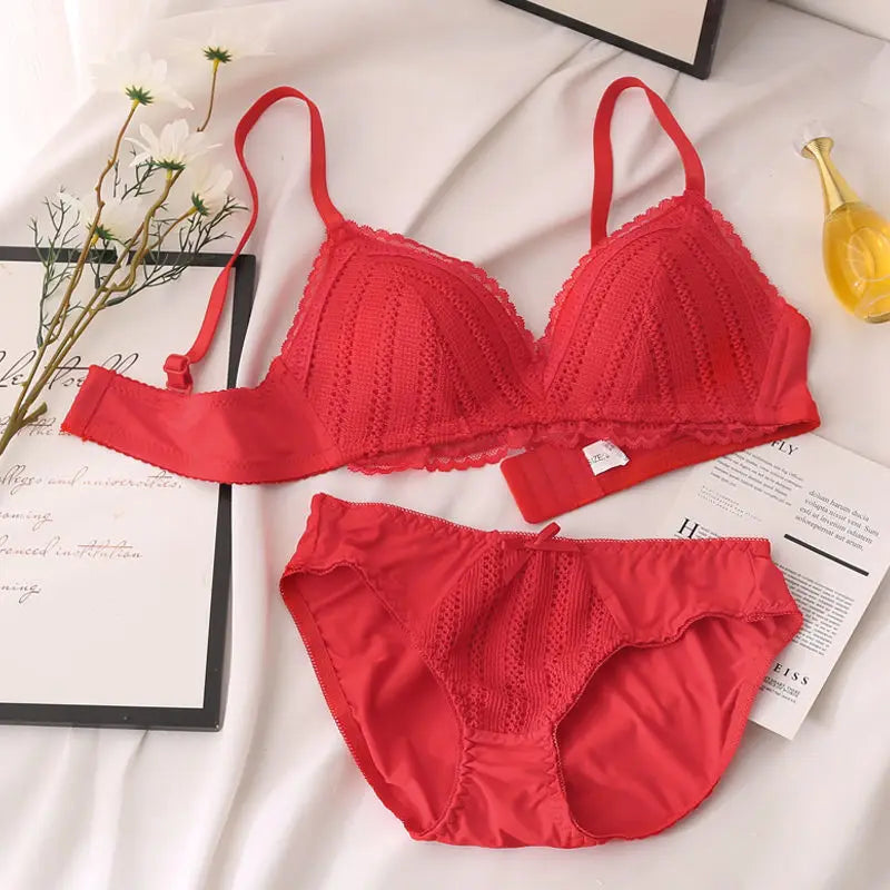 Cheap New Lace Embroidery Bra Set Women Push Up Underwear Set Bra and Panty Set Plus Size 70 75 80 85 90 ABC Cup Top For Female